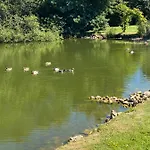 La Fermette Aux Canards Savigny-Levescault